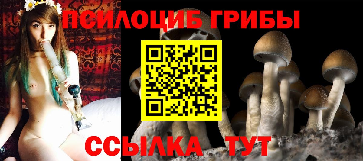 Бор  Галлюциногенные грибы прущие грибы  Вход с VPN 